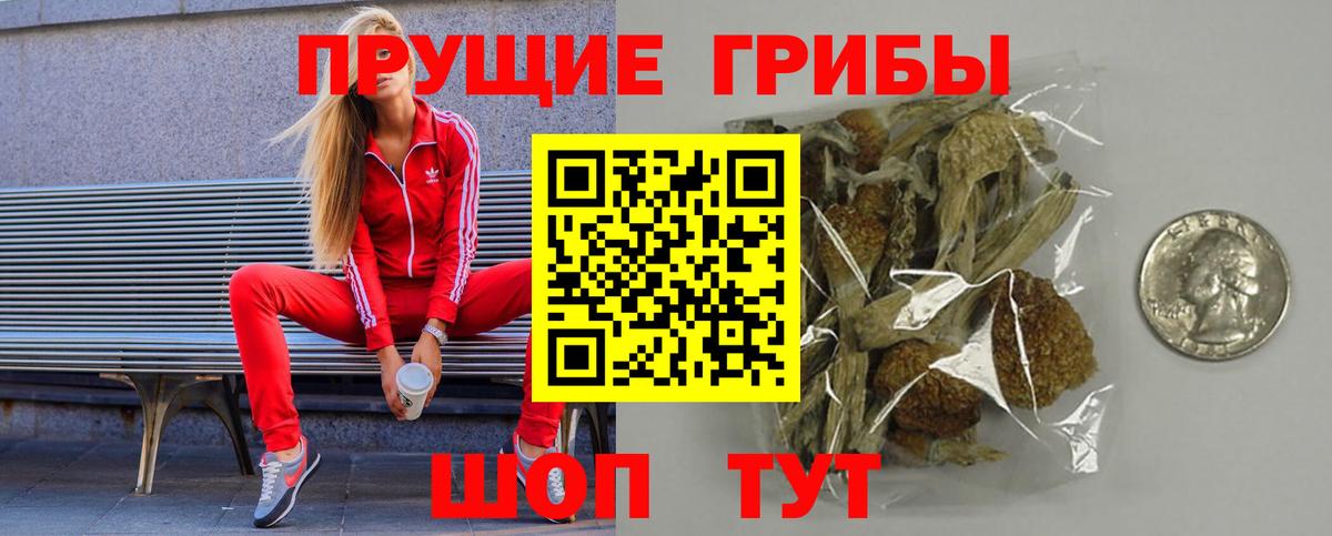 Галлюциногенные грибы GOLDEN TEACHER  Вход с VPN  Кисловодск  Галлюциногенные грибы прущие грибы 